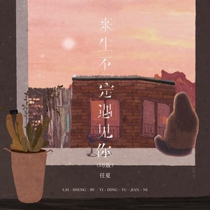 来生不一定遇见你 (DJ版)