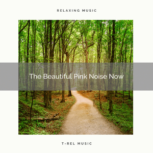 The Beautiful Pink Noise For Espresso Nap