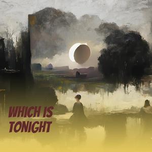 Which Is Tonight