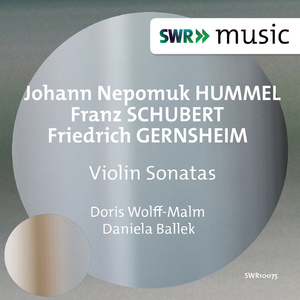 Violin Sonata No. 4 in G Major, Op. 85:I. Allegro moderato assai