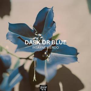 Camera(nshote) (feat. novarhymes)