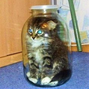 Curtains Close (sped up)