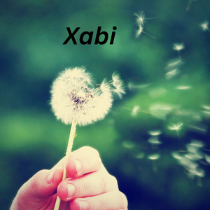Xabi