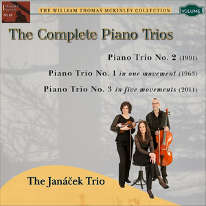 Piano Trio No. 3: I. "distant land"