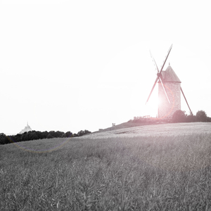 어른을 위한 자장가