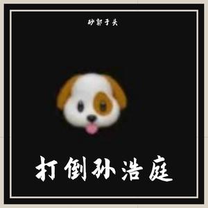 打倒孙浩庭