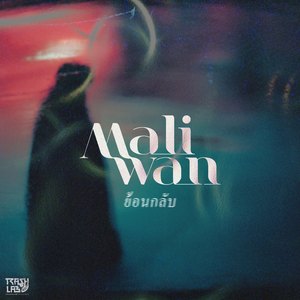 ย้อนกลับ