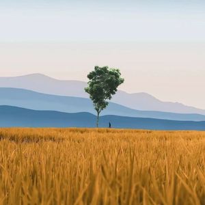 来生仍盼唯有你