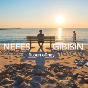 Nefes Gibisin