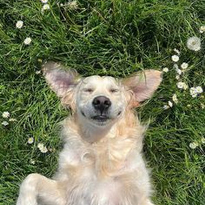 Hablemos (nightcore)