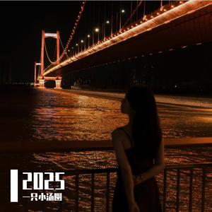 无处安放（翻自汪峰 女声版）