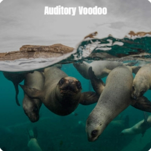 Relaxation On The Mind (Indo Ethnic Chill)