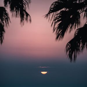 SOME（翻自 脸红的思春期）