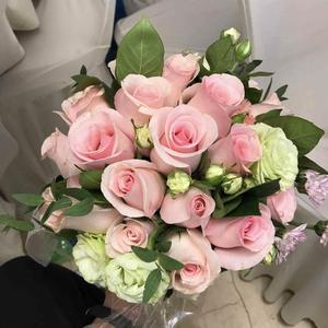 未闻花名（翻自 张苡小萌）