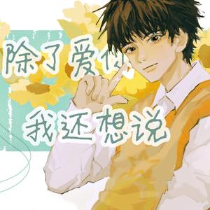 除了爱你我还想说