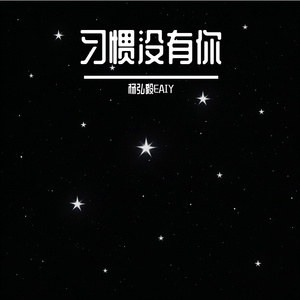 习惯没有你