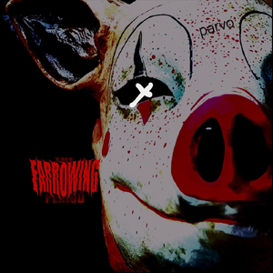 Parvo