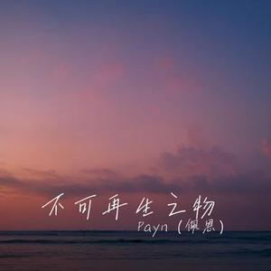 不可再生之物