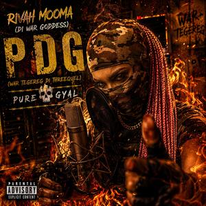 PDG (War Tegereg Di Threequel) (War Professa Riddim)