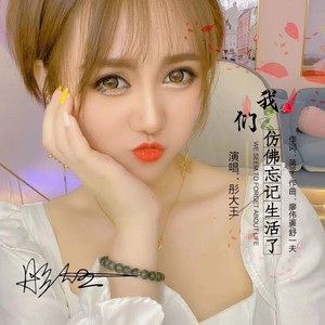 我们仿佛忘记生活了 (伴奏)