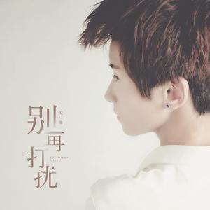 别再打扰 (DJ版)