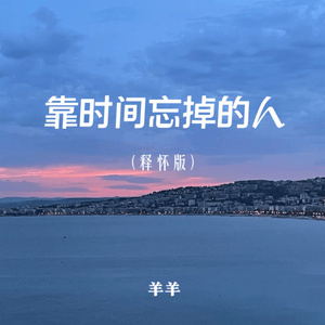 靠时间忘掉的人 (释怀版)