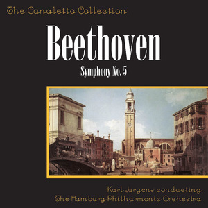 Symphony No. 5 - First Movement: Allegro Con Brio