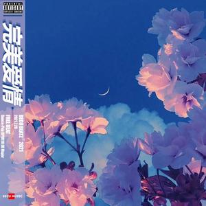 【FREE HOOK】"完 美 爱 情" - Dance-Pop BPM110 Eb Major