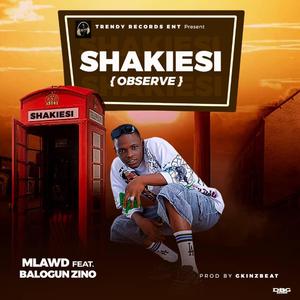 SHAKIESI(OBSERVE) (feat. Balogun Zino)