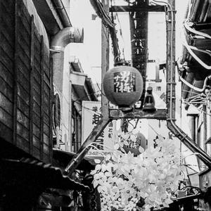 Japanese 45