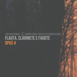 O Lamento dos Pássaros