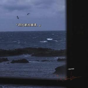 阿拉斯加海湾（翻自 菲道尔）