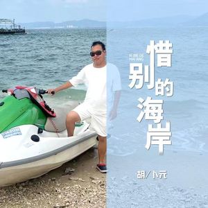 惜别的海岸(伴奏)