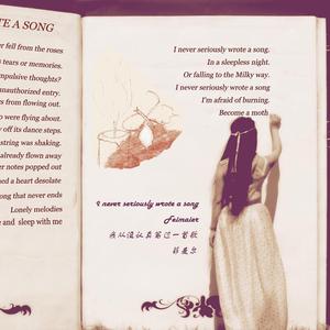 我从没认真写过一首歌