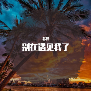 给你机会你也不中用啊