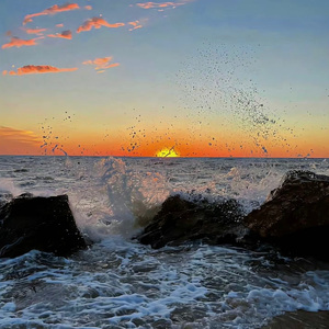 宝藏女孩—大鱼