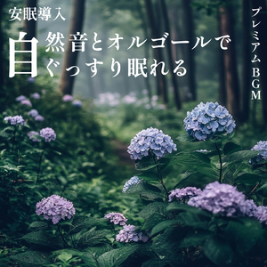 毎日聴きたい睡眠導入音楽 疲労回復ナイトルーティン (3分で眠れる森)