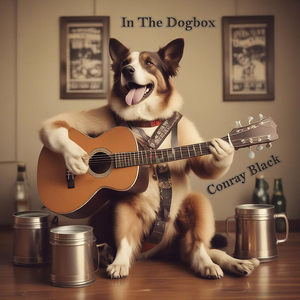 In The Dogbox