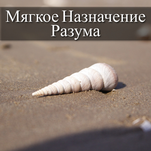 Мирные Мозговые Волны