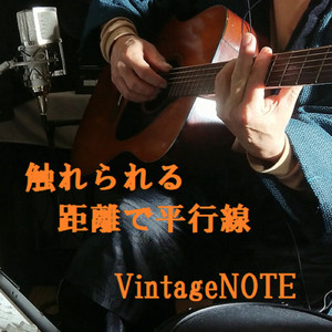 触れられる距離で平行線