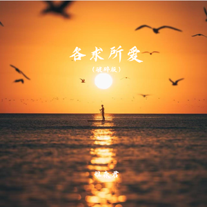 各求所爱（破碎版）