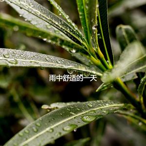 Outstanding Ambience for Long Sunsets