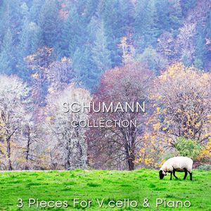 3 pieces for v.cello and piano - II.