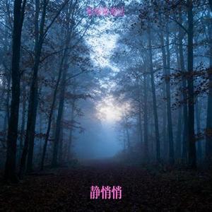 静悄悄 (Cover Zyboy 忠宇)