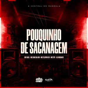 Pouquinho de Sacanagem