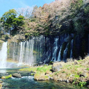 ハレノヒイキル