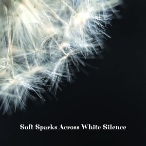 Threads of Silver in Stillness