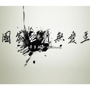 国家面前无爱豆