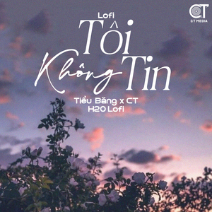 Tôi Không Tin (Lofi)
