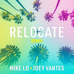 Relocate (feat. Joey Vantes) (Remix)